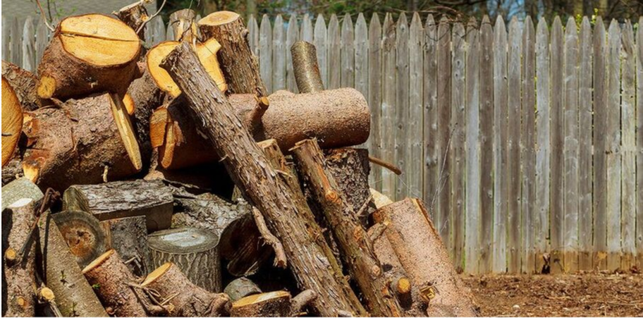 Tas de bois suite à l'abattage d'un arbre à Saint-Bruno